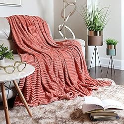 Clara Clark Cut Plush Blanket - Queen Size