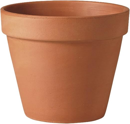 Large" Mini Terracotta Plant Pots Pack of 15 - Size 10 cm x 11 cm x 6 cm:  Amazon.co.uk: Garden & Outdoors