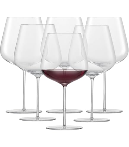 メル18575 Amazon.com: Schott Zwiesel Red Wine Glass Burgundy Fortissimo (Set