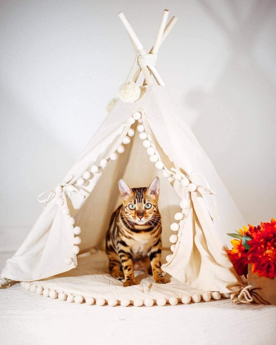 MINICAMP Dog House Indoor Den, Cozy Dog Tent Bed, Stylish Pet & Cat Teepee Cave, Cute Puppy Igloo for Small and Large Dogs - Image 4