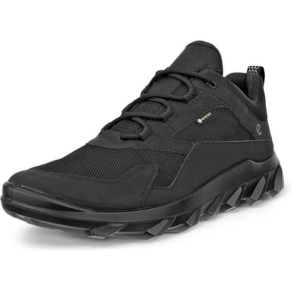 Amazon.com | ECCO Men's Street Tray Gore-TEX Waterprooof Sneaker