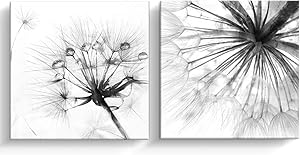 Pinetree Art 2 Panel Black and White Canvas Wall Art Dandelion Nordic Canvas Prints Painting Wall Decor for Living Room Wooden Framed Home Decorations - 12"x12" (Dandelion, 12 x 12 2pcs)