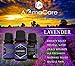 Aromatherapy Essential Oils Gift Set in a EXCLUSIVE WHITE BOX (Lavender, Peppermint, Lemongrass, TeaTree, Eucalyptus, Bergamot) FREE Essential Oil Pendant and ebook