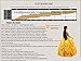 HalloweenCostumeParty Beauty and Beast Belle Costume Dress For Adults Woman(XXL)