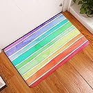 TOOL GADGET Watercolor Rainbow Soft Doormat, Rainbow Rug 24 x 16 Inch, Colorful Super Soft Fur Pet Mat, Non-Slip Bath Mat