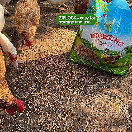 WORMSKING 5LB Dried mealworms 100 NonGMO, Mealworms for Chickens