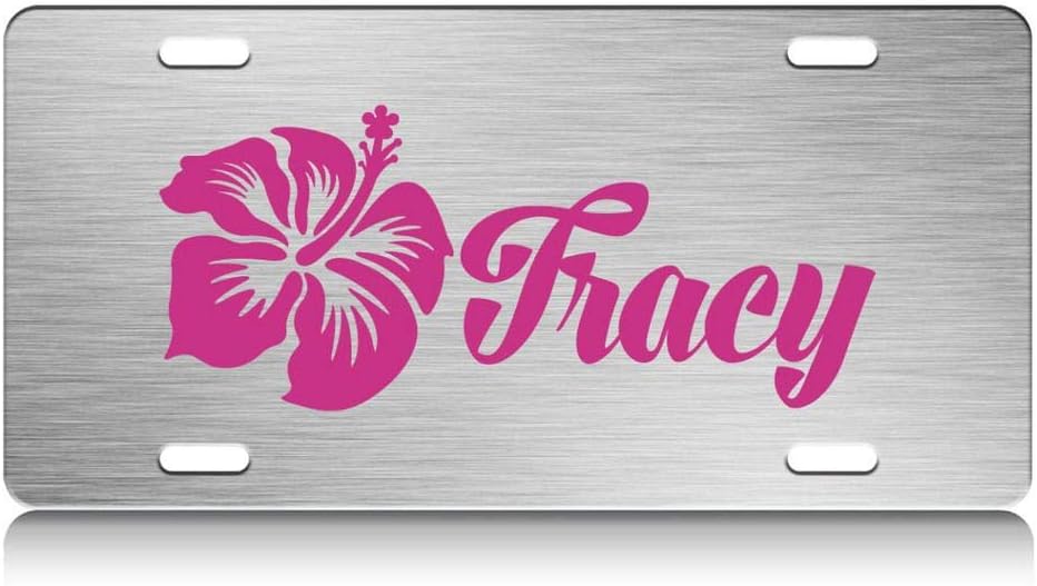 Custom Brother - Tracy Female Name Stainless Steel Metal License Plate Ch