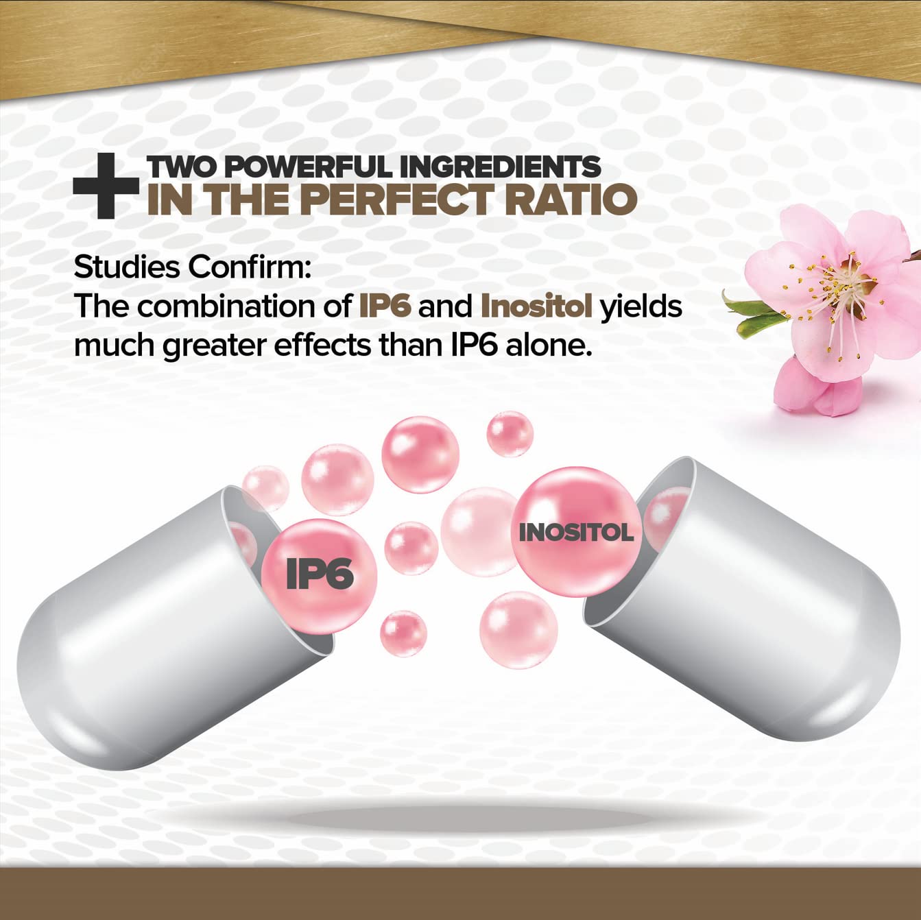 IP6 Gold Immune Support Formula, 120 Vegetarian Capsules