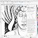 CorelDRAW Graphics Suite 2017 for PC - Education Edition (Old Version)