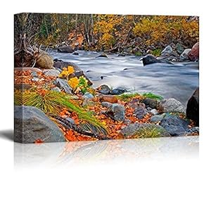Rocky Lake on a Forest During Fall Time