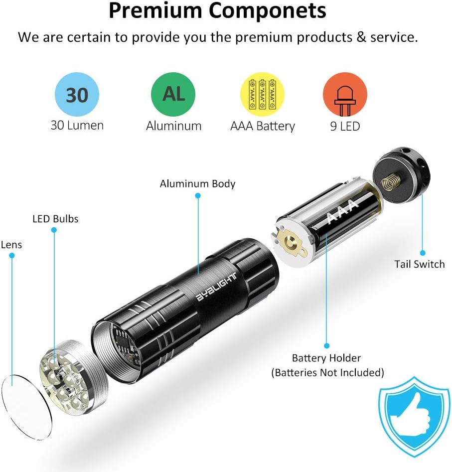 BYB Pack of 4, Super Bright 9 LED Mini Aluminum Flashlight with Lanyard, Assorted Colors, Batteries Not Included, Best Tools for Camping, Hiking, Hunting, Backpacking, Fishing, BBQ and EDC: Sports & Outdoors
