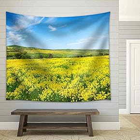 Green Field with Flowers Under Blue Cloudy Sky - Fabric Wall Tapestry Home Decor - 51x60 inches