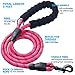 Ladoogo Heavy Duty Dog Leash - Comfortable Foam Handle, 5 ft Long - Dog Leashes for Medium Large Dogs with A Free Collapsible Pet Bowl (Pink)