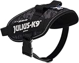 Julius-K9 IDC Power Harness Size Mini Night Camo view 4