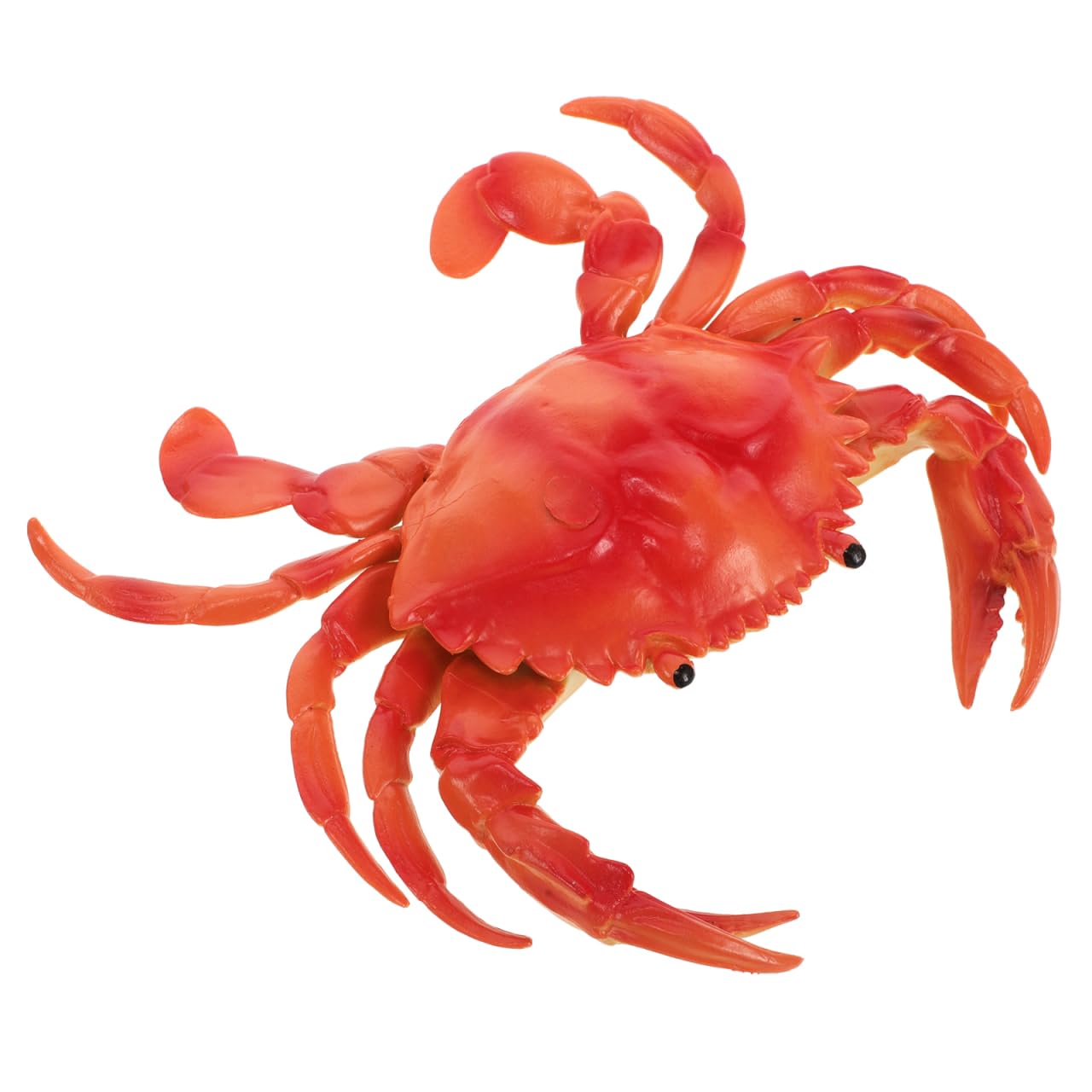 SUPVOX Adorable Realistic Crab Model for Ocean Theme Parties Vibrant Decoration for Gardens Photography Lightweight Vinyl Fake Crab with Fine Craftsmanship Authentic Look