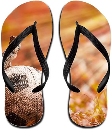 lizard flip flops