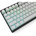 IOAOI PBT Keycaps Set, Side Print, Shine Through, 131 Keys OEM Profile for 100%, 75%, 65%, 60% MX-stem Switches - Grey