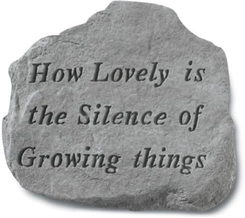 Kay Berry Inc Stepping Stone- cómo Lovely es el Silencio: Amazon ...
