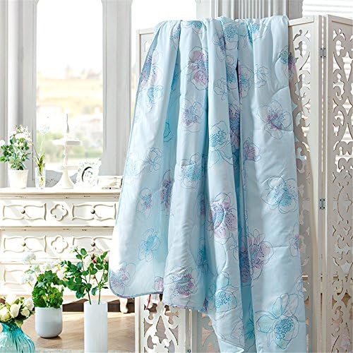 Garden wind cool summer air conditioning in Korean Twin Bedding quilt by core,203229cm