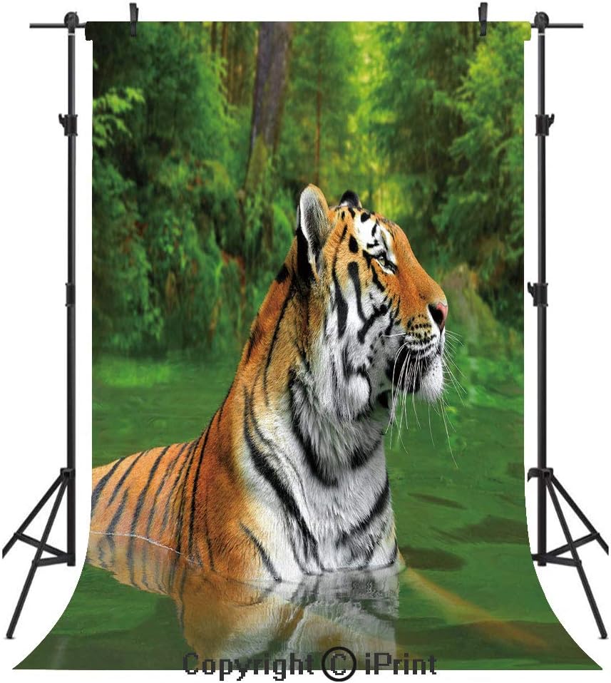 Amazon Com Tiger Photography Backdrops Black Striped Large Cat