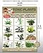 TLC Safety By Design Toxic House Plants Poison for Pets Dogs Cats Emergency ICE Home Alone Refrigerator Magnet (Qty. 1)