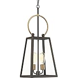 Progress LightingP550028-020 Barnett Outdoor, Bronze, 26.88x11.25x11.25