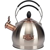 Whistling Tea Kettle Stainless Steel Teapot, Teakettle for Stovetop Induction Stove Top, Fast Boiling Heat Water Tea Pot 2.6 