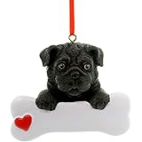 Rudolph and Me Black Pug