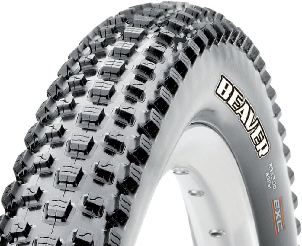maxxis beaver 29