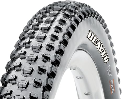 maxxis beaver 29