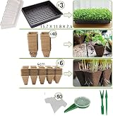 WY8 Seed Trays Starter Kit 100 Biodegradable Pots 3 Trays Crystal Lids view 2