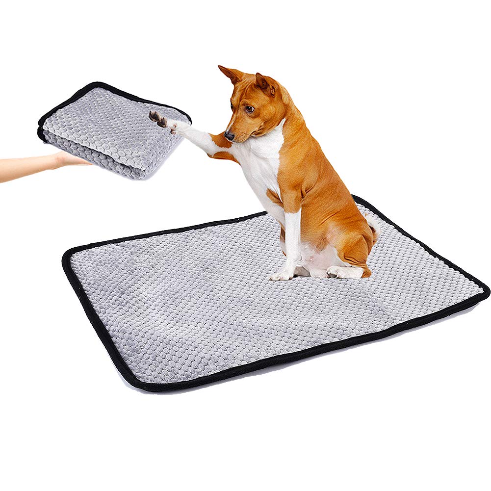 YANGWX Washable Puppy Training Pad Pet Mat, Reusable Pee Pad for Dogs, Anti-Slip Puppy Wee Whelping Pad for Travel, Dog Incontinence Pads for Indoor Outdoor Car(65x50cn,Gray)