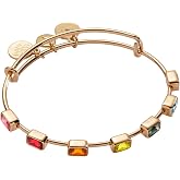 Alex and Ani Rainbow Ombre Pave Jewelry