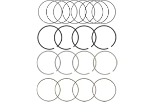 BuliBoao Engine Piston Ring Set Standard Fits for Buick Chevy GMC for Pontiac for Saturn 2.4L 2006-2017 9761304910, 2C5228, PR336