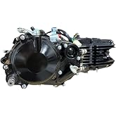 DAYTONA Anima 190cc Engine Model (FS5) - Black