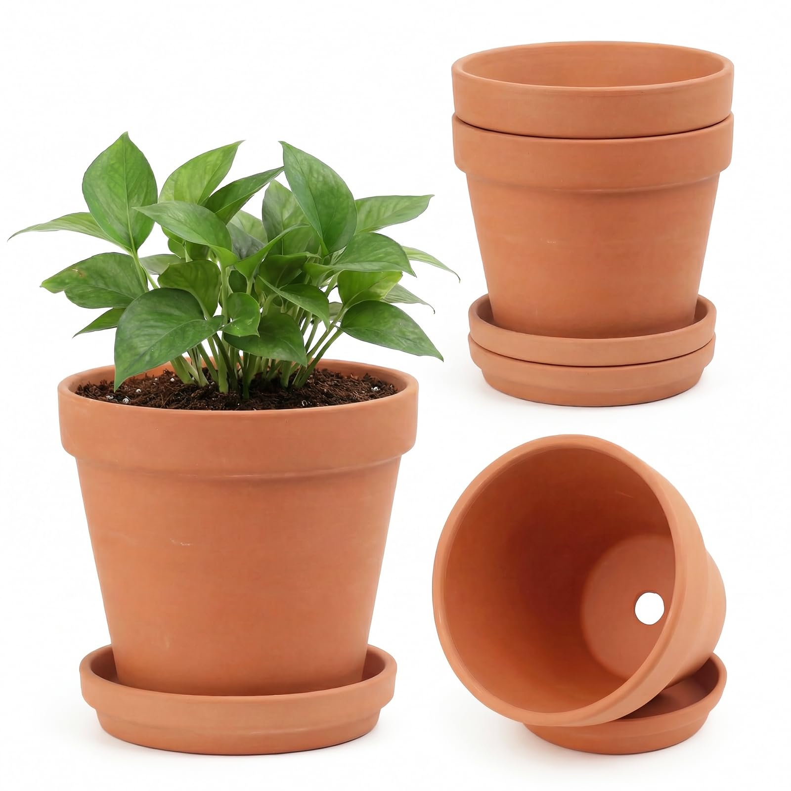 Riseuvo 6 Inch Terracotta Pots with Saucers – 4 Pack Medium Clay Flower Pots with Drainage Hole，Clay Pot for Succulents, Cactus and Indoor Plants, Wedding Favors Image