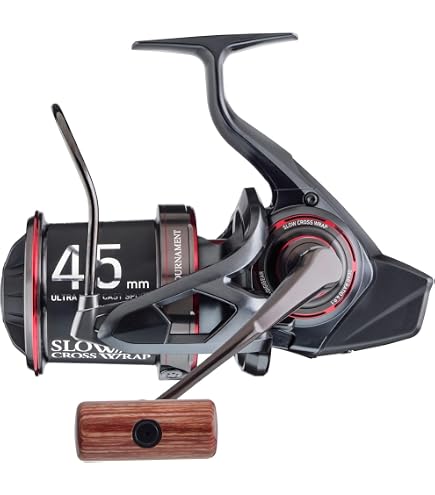 Amazon.com : Daiwa 20 Tournament Basia Surf 45 SCW QD