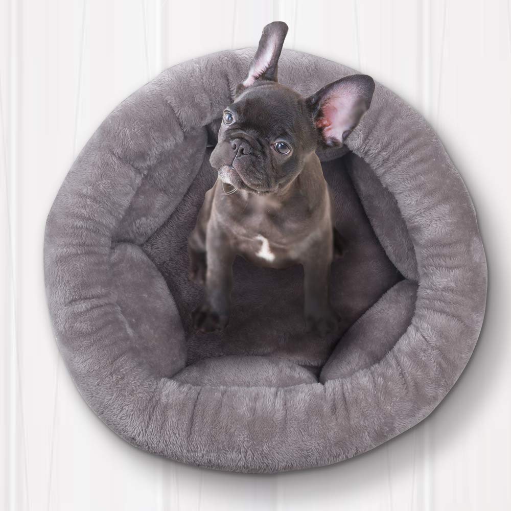 Dessin De Patte Aimable Imprimée Allisandro Couverture De