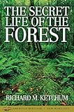 The Secret Life of the Forest