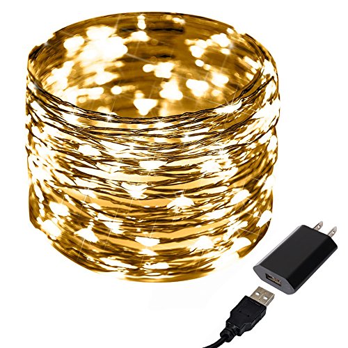 Warm White Copper Wire Strings,CrazyFire Mini Vase Decorative Rope Light,33FT DIY String Light for Glass Bottles Bedroom TV Indoor Bar Dating Party