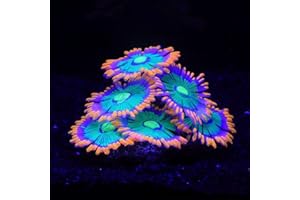 ZtohPyo Glowing Effect Soft Anemone Aquarium Fish Tank Decorations Silicone Glow in The Dark Artificial Ornament Plants for Aquarium Landscape Small/Large Fish Bowl Decor Accessories