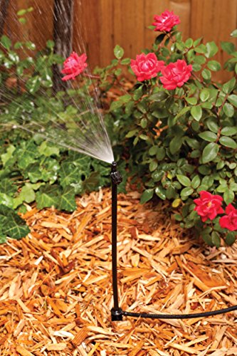 Rain Bird MSQ2PKS Drip Irrigation 10-32 Threaded Micro-Spray Nozzle, 90 Quarter Circle Pattern, 0-10' Spray Distance, 2-Pack