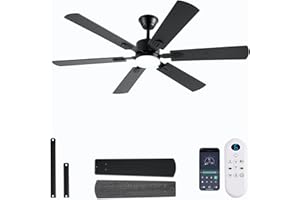 FUMLTP 56inch Black Ceiling Fans with Lights and Remote/App Control, Dimmable LED, Reversible DC Motor, Noiseless, 6 Double-Side blades, 6 Speeds Low Profile Ceiling Fan for Indoor/Outdoor Use