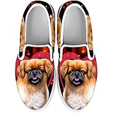 pekingese shoes