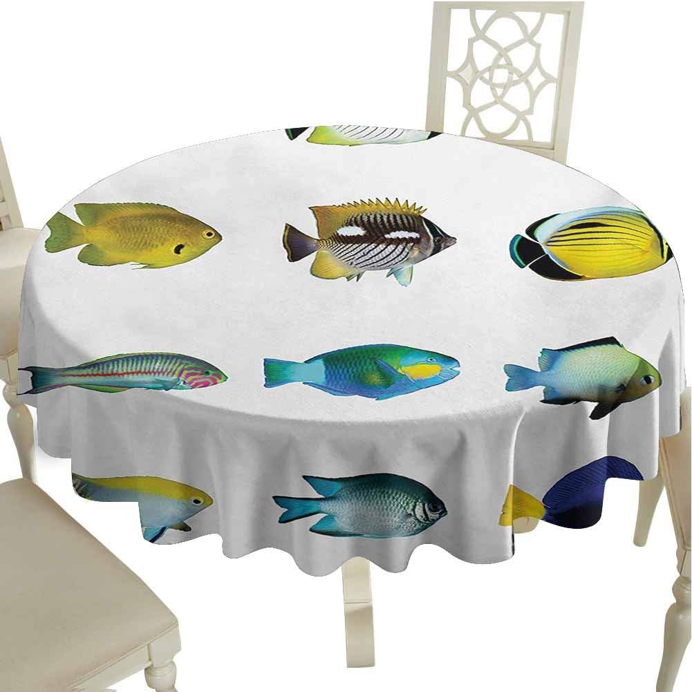 Amazon Com Homedecorations Fish Picnic Cloth Egyptian Fish With