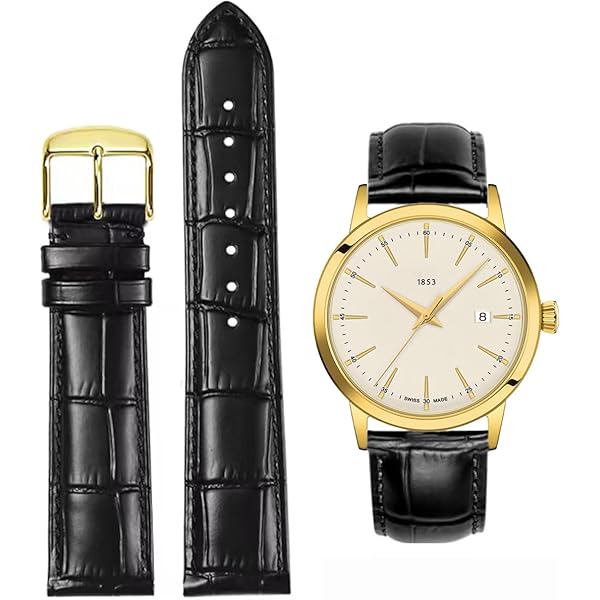 Amazon.com: TRIPLE TREE Single Watch Winder for Automatic