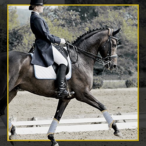 Kavallerie Fleece-Lined Leather Dressage Boots - Breathable, Lightweight, Impact Absorbing, Sports Boots for Training, Jumping, Riding, Eventing - Maximum Support and Protection-M-White