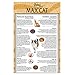 Nutro Max Cat Indoor Adult Roasted Chicken Flavor Dry Cat Food  (1)6 Lbs.; Rich In Nutrients And Full Of Flavor; Supports Healthy Joints & Healthy Skin And Coat
