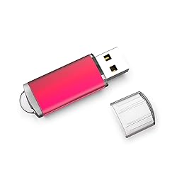 RAOYI 10PCS 8G USB Flash Drive USB 2.0 Memory Stick