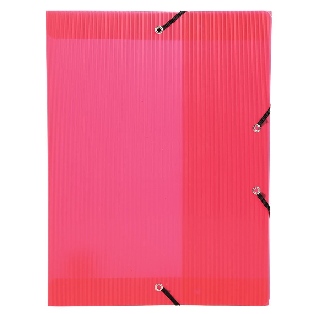 Exacompta - Ref. 5967E - 1 filing box with Linicolor rubber bands - in polypropylene - spine 2.5 cm - dimensions 25 x 33 cm - for A4 format - random color - delivered assembled